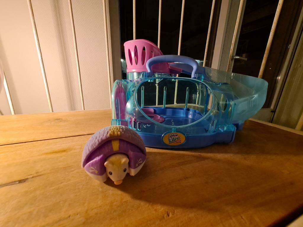 Egel met huis, Ophalen of Verzenden