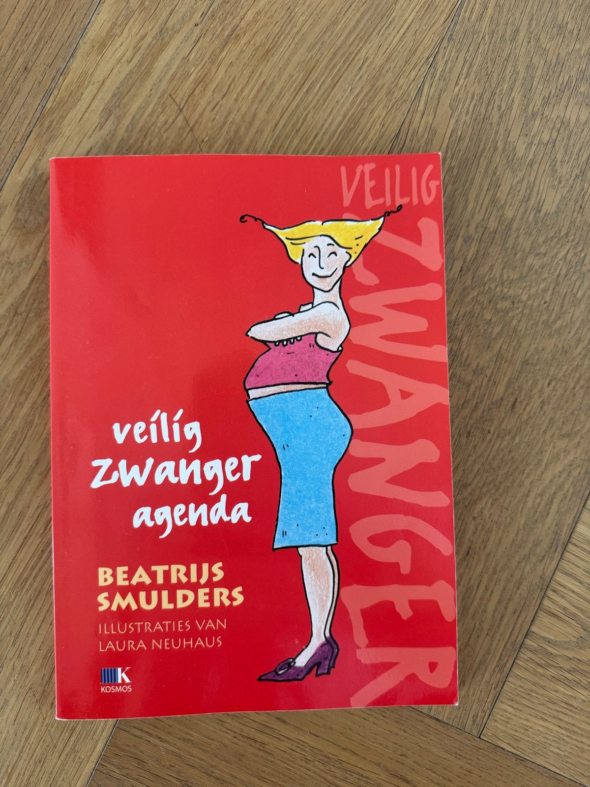 Veilig Zwanger Agenda - Beatrijs Smulders (Nieuw), Ophalen of Verzenden, Nieuw, Zwangerschap en Bevalling