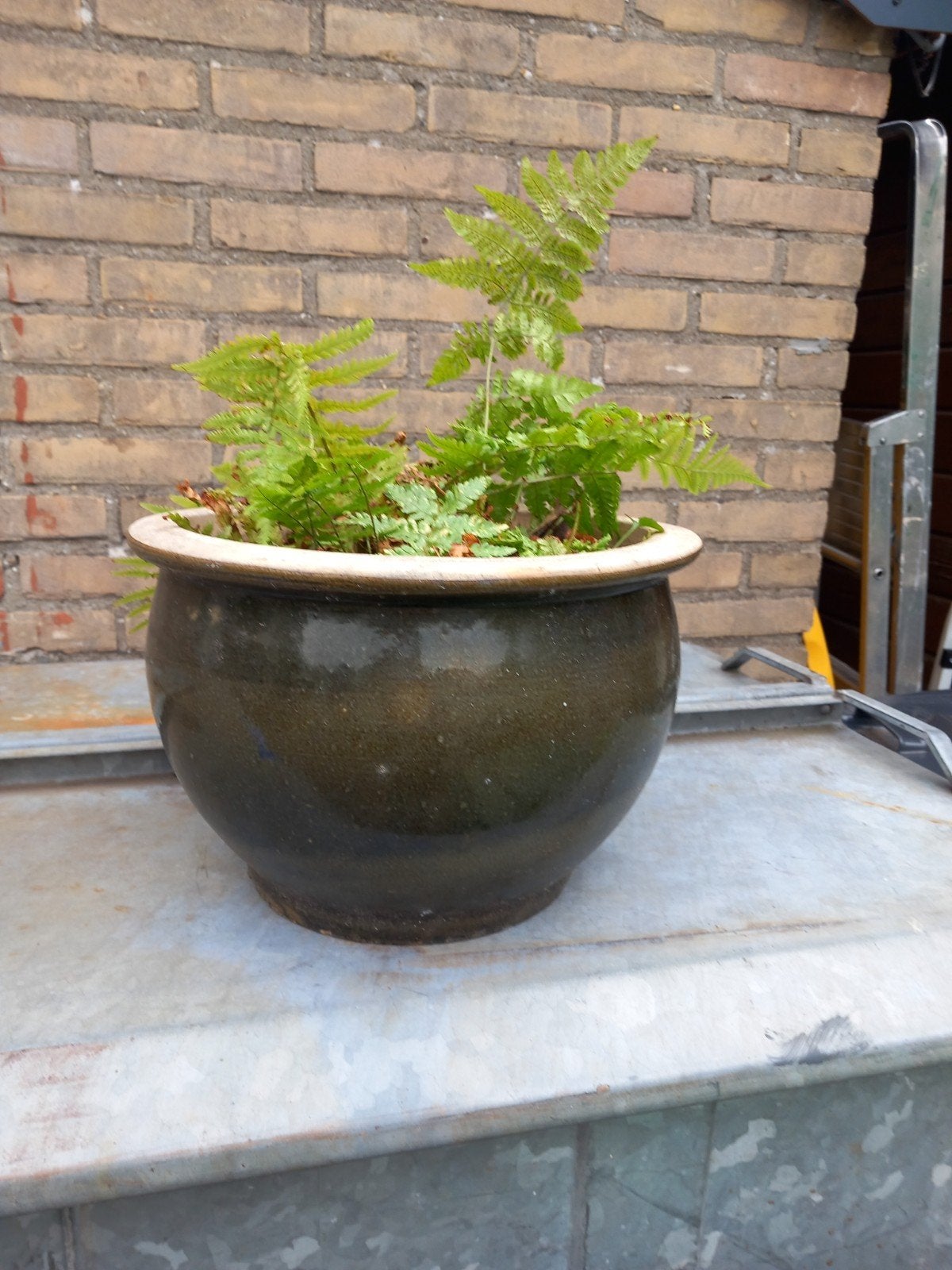 Bloempot prijs € 10.00, Ophalen of Verzenden, Rond, Minder dan 30 cm