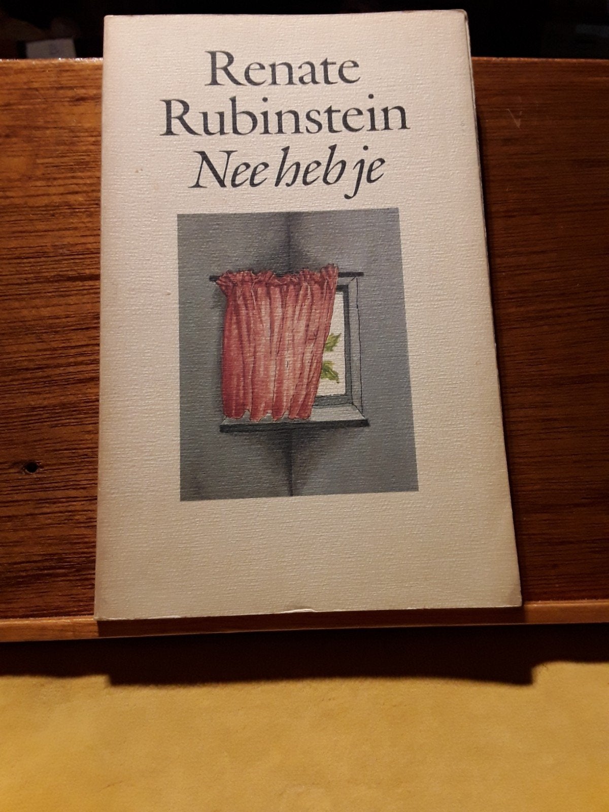 Renate Rubinstein - Nee heb je (Notities over ziek zijn), Ophalen of Verzenden, Gelezen, Renate Rubinstein, Nederland
