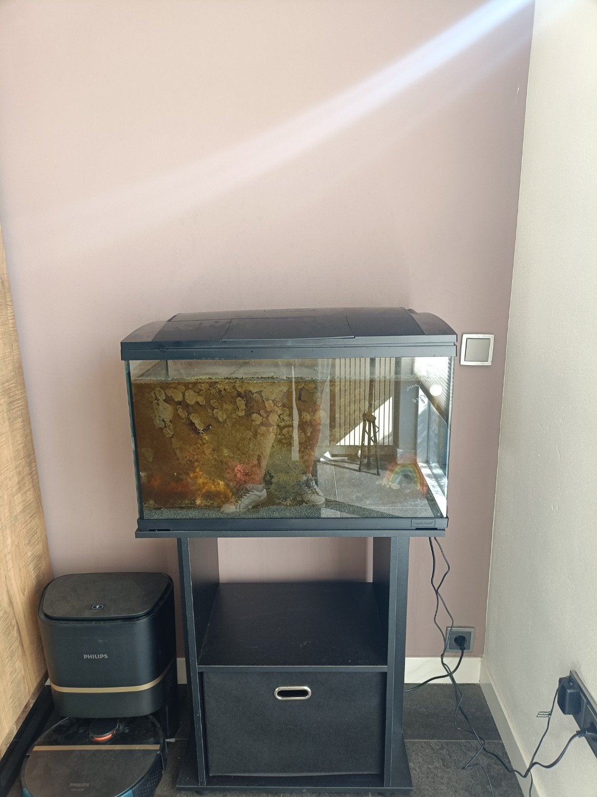 100 liter aquarium te koop, Ophalen, Zo goed als nieuw, Gevuld zoetwateraquarium