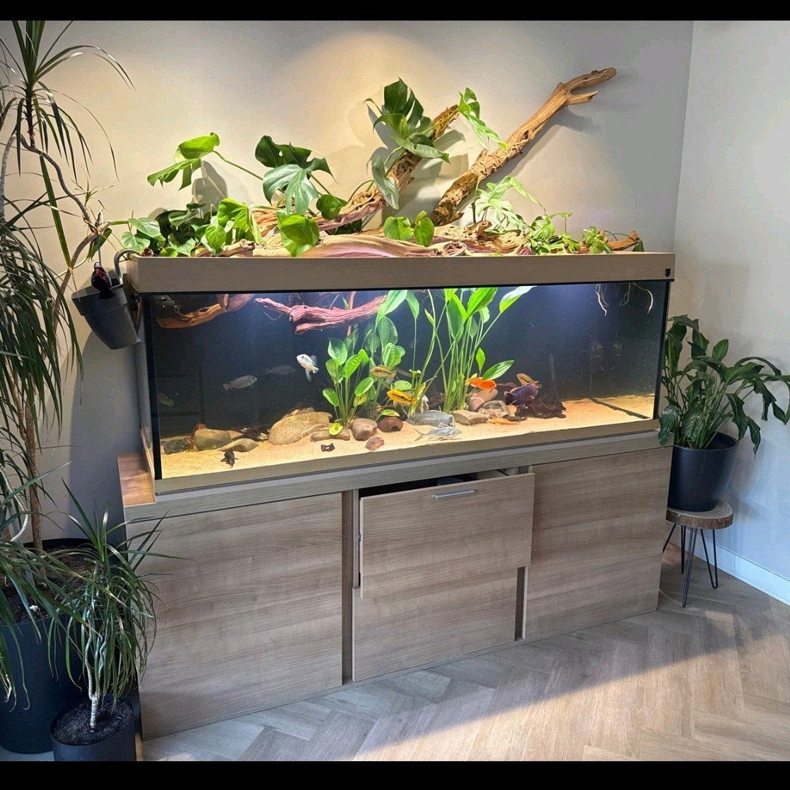 MOET WEG trofis 1800 aquarium 180cm 650L, Ophalen, Gebruikt, Leeg aquarium, Overige merken