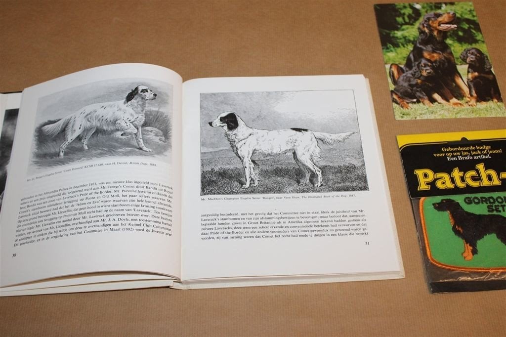 De Setter — Rasmonografie, Iers en Engels 1974, Ophalen of Verzenden, Gelezen, Honden