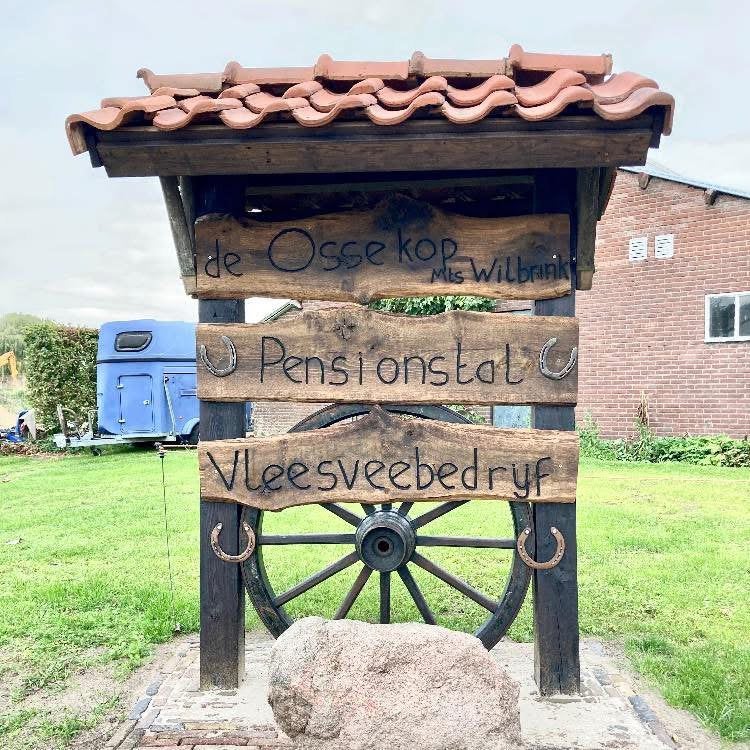 Stal vrij op gezellige pensionstal