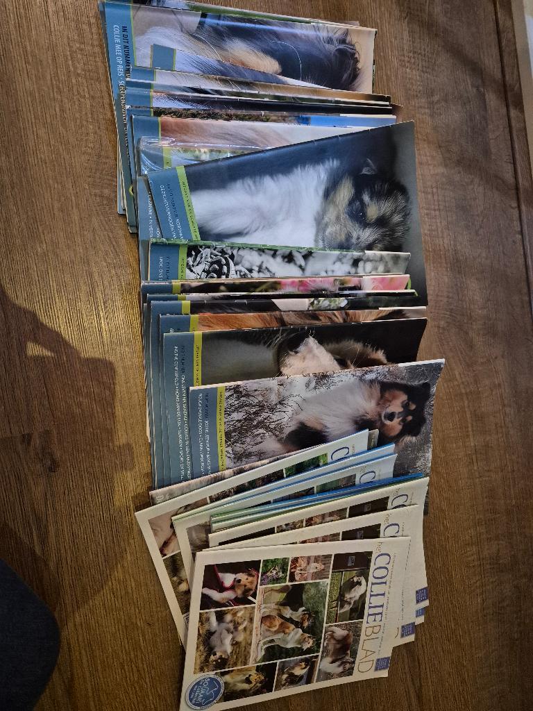 Tijdschriften Schotse Collie, Ophalen, Zo goed als nieuw