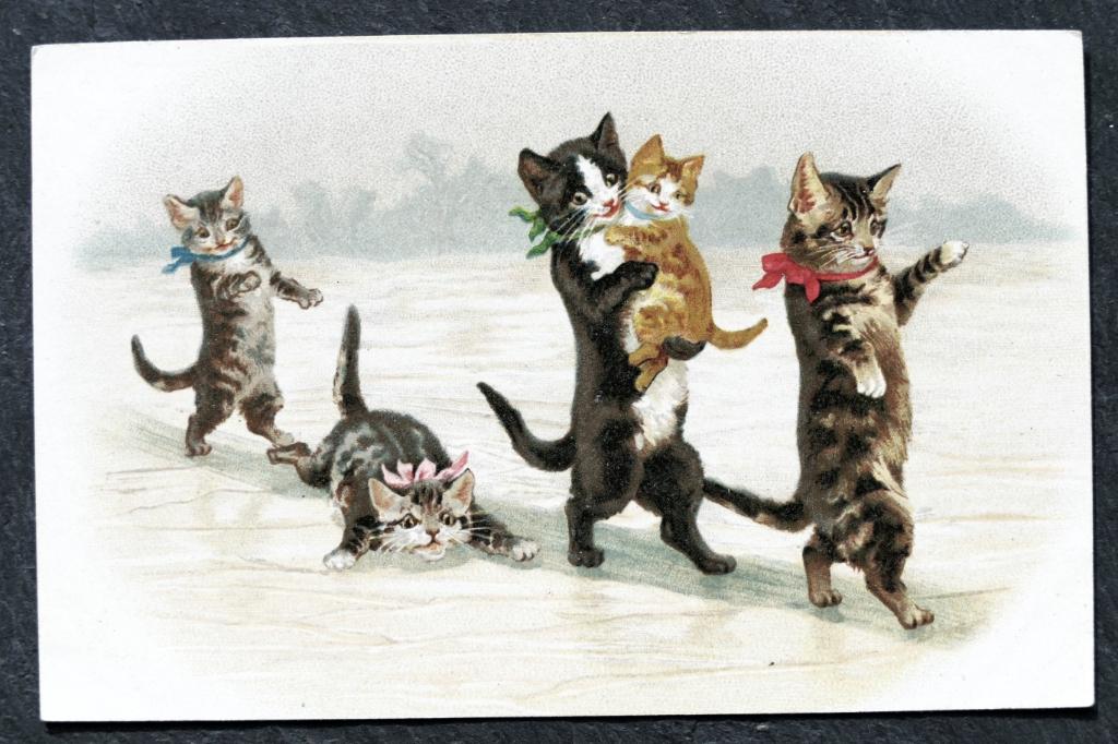 Poezen lopen voorzichtig over het ijs, pre 1905, Verzenden, Voor 1920, Ongelopen, Hond of Kat