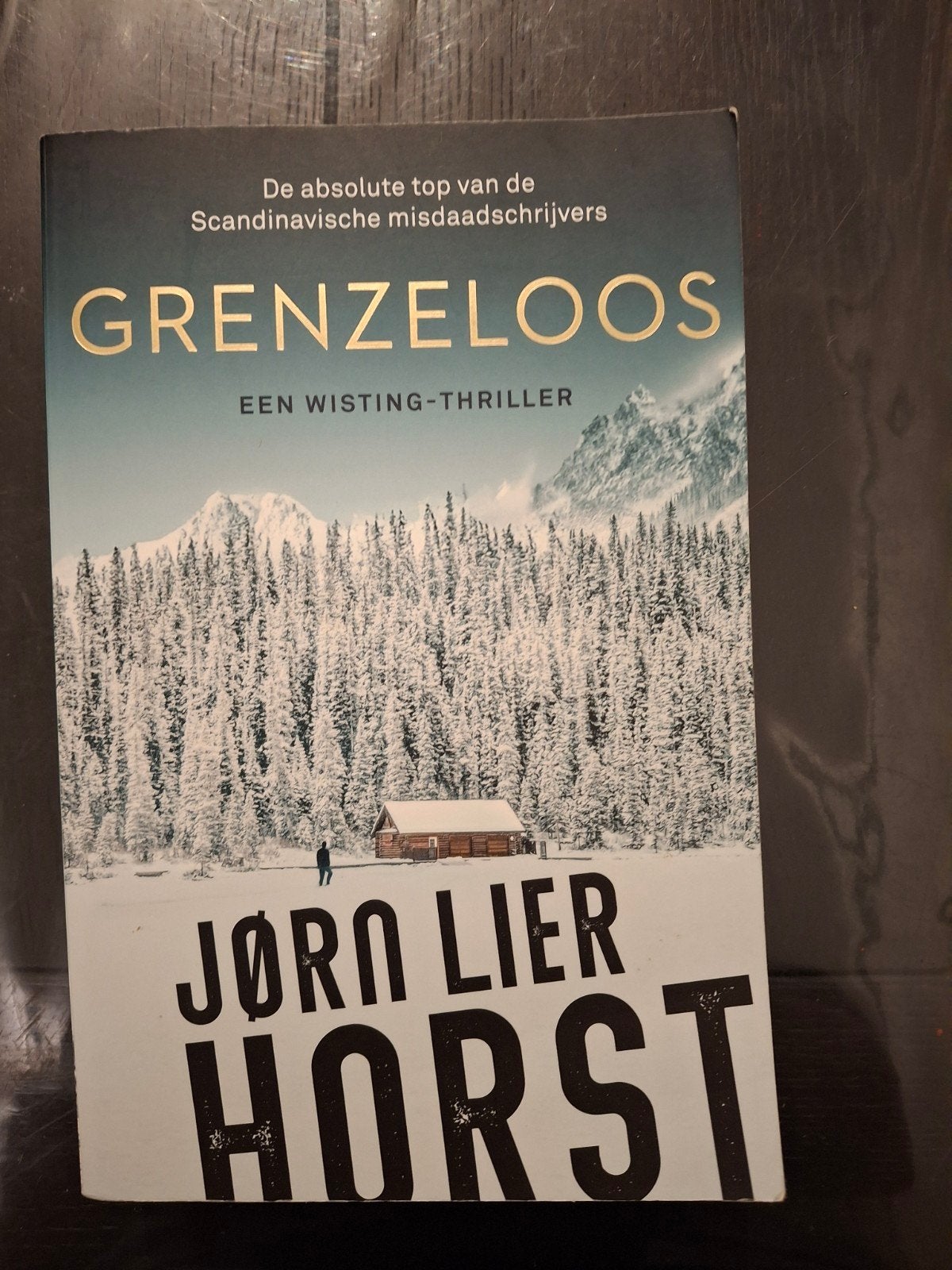Jørn Lier Horst - Grenzeloos, Ophalen of Verzenden, Zo goed als nieuw, Jørn Lier Horst