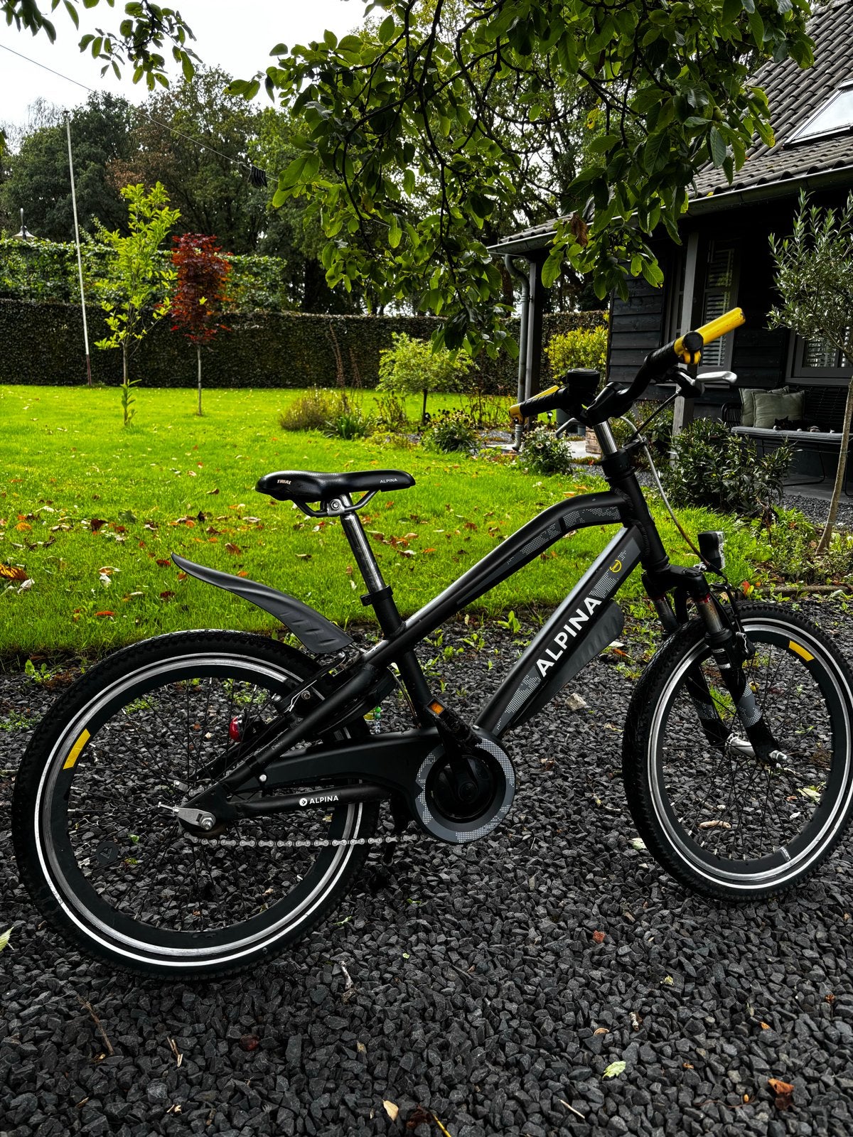 Alpina Trial 20 inch kinderfiets, Fietsen en Brommers, Fietsen | Kinderfietsjes, Ophalen, Gebruikt, 20 inch of meer