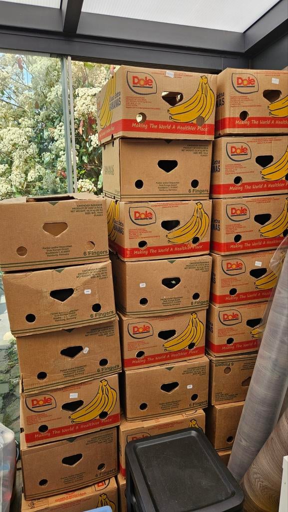 Dole bananendozen - ideaal voor verhuizing of opslag, Doe-het-zelf en Verbouw, Kratten en Dozen, Ophalen