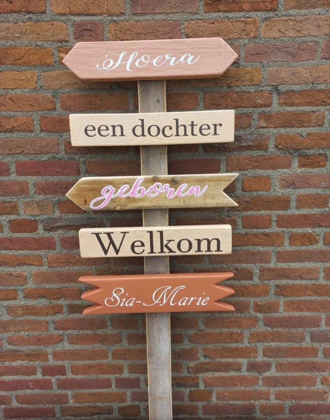Wegwijzers Geboortebord Gender reveal Babyshower baby borrel, Ophalen of Verzenden, Nieuw
