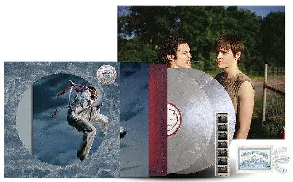 Conan Gray - Wishbone deluxe edition 2lp, nieuw/geseald, Cd's en Dvd's, Vinyl | Pop, Inclusief poster, Pop, Ophalen of Verzenden