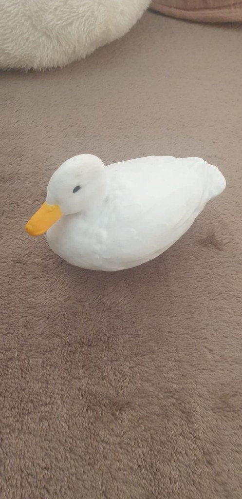 Plastic badeend, Ophalen, Zo goed als nieuw