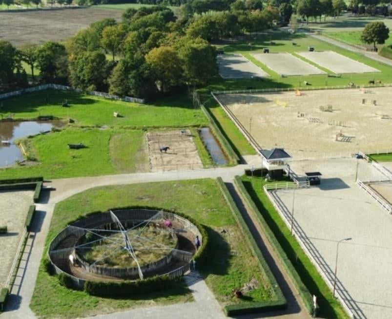 8 paards stapmolen, Ophalen, Gebruikt, Overige soorten