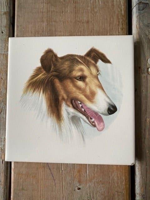 Wandtegeltje / tegel hond. Collie / Lassiehond tegel., Ophalen