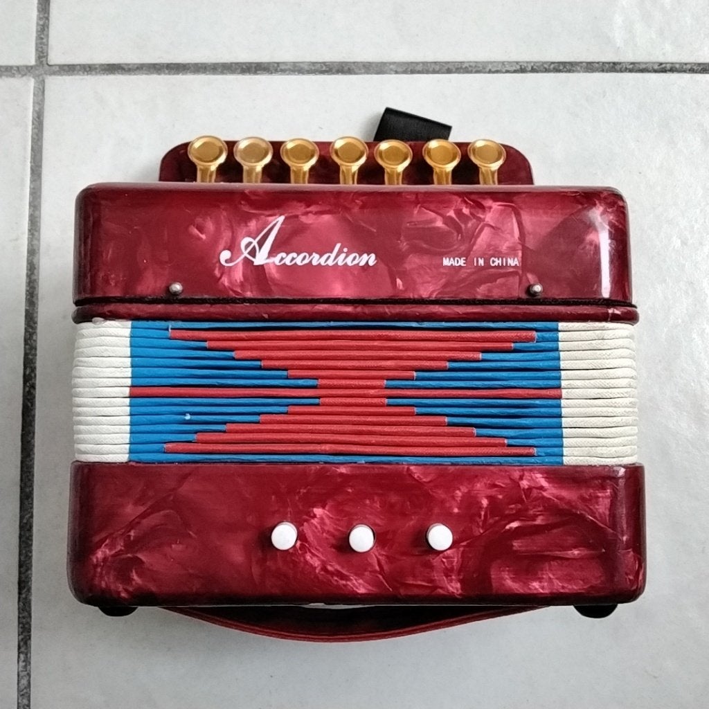 Kleine accordeon in nieuwstaat, Ophalen of Verzenden, Zo goed als nieuw, Overige formaten, Overige merken