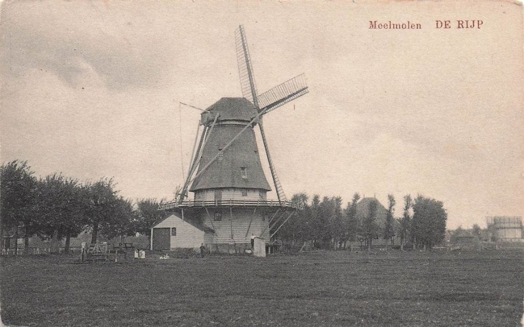 703-014-043 Meelmolen De Rijp, Verzenden, Voor 1920, Noord-Holland