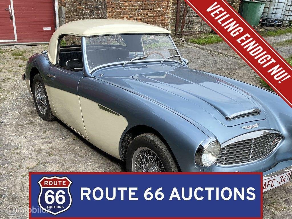 Austin-Healey 100-6 BN4 | 1957 | Route 66 Auctions, Auto's, Austin, Overige carrosserieën, Zwart, Bedrijf