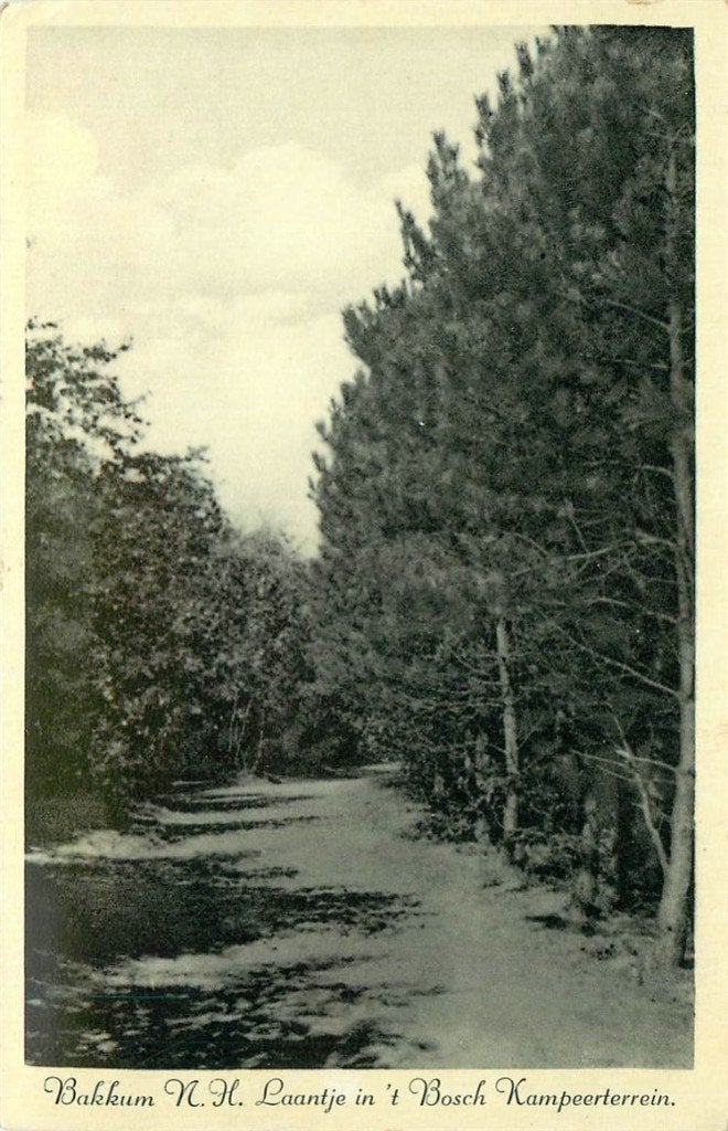 379-188-051 Bakkum, Verzenden, Voor 1920, Noord-Holland