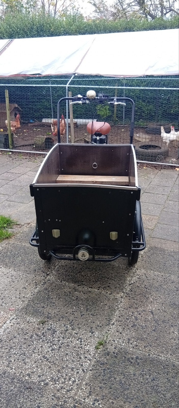 Elektrische bakfiets - Ideaal voor kinderen of goederen, Overige merken, Gebruikt, Elektrisch, Ophalen of Verzenden