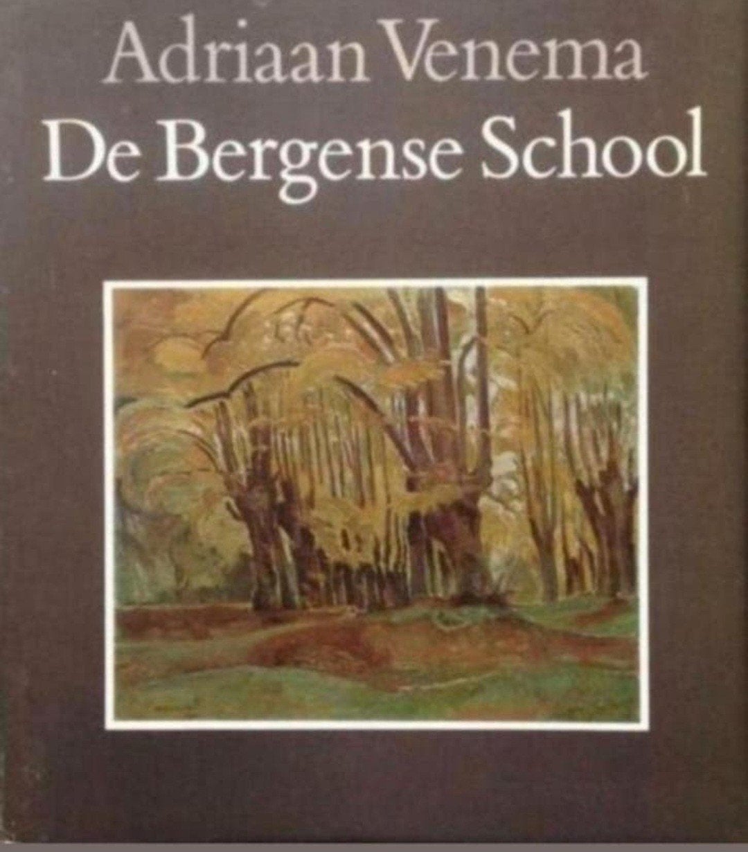DE BERGENSE SCHOOL Adriaan Venema. Hardcover Nederlands, Ophalen of Verzenden, Gelezen
