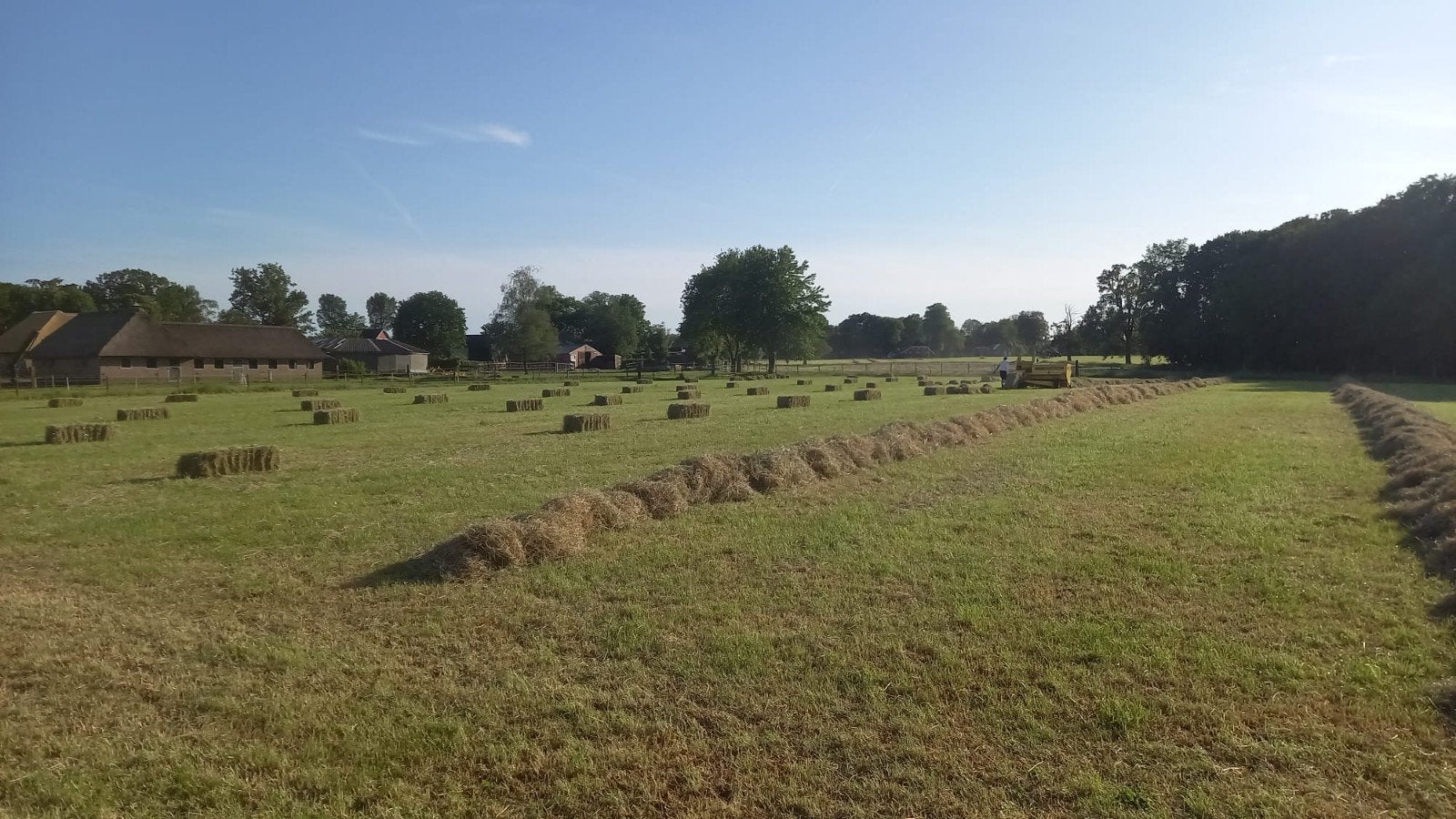 Hooien/balen persen noord/midden Drenthe