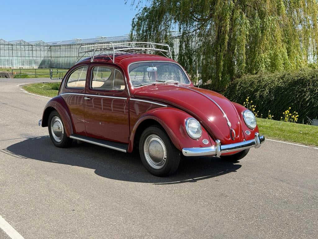 Volkswagen 1200 garnetred 1959, Auto's, Oldtimers, 1192 cc, Volkswagen, Bedrijf, Handgeschakeld