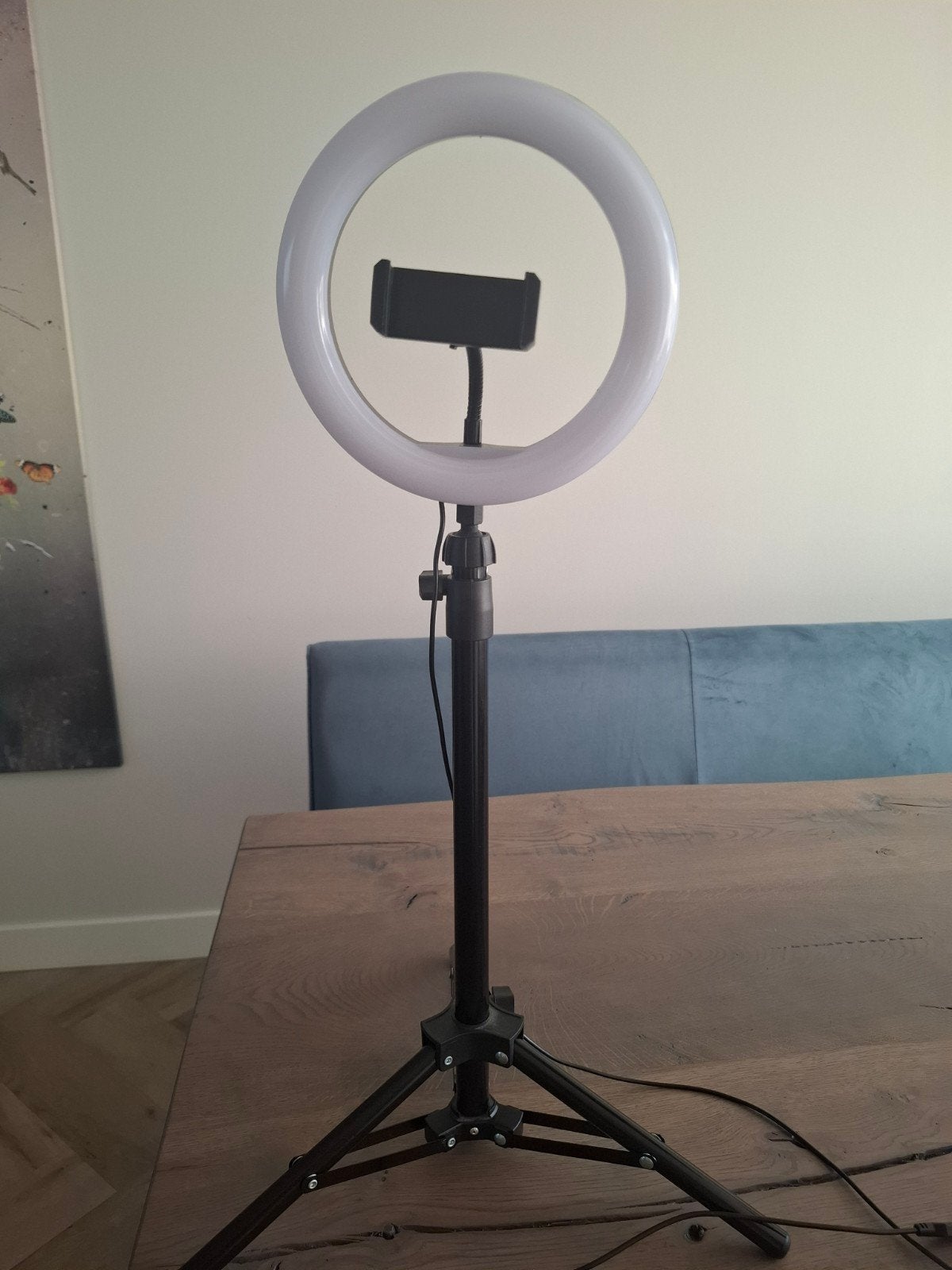 LED ringlamp, Ophalen, Zo goed als nieuw, Lamp of Flitsset