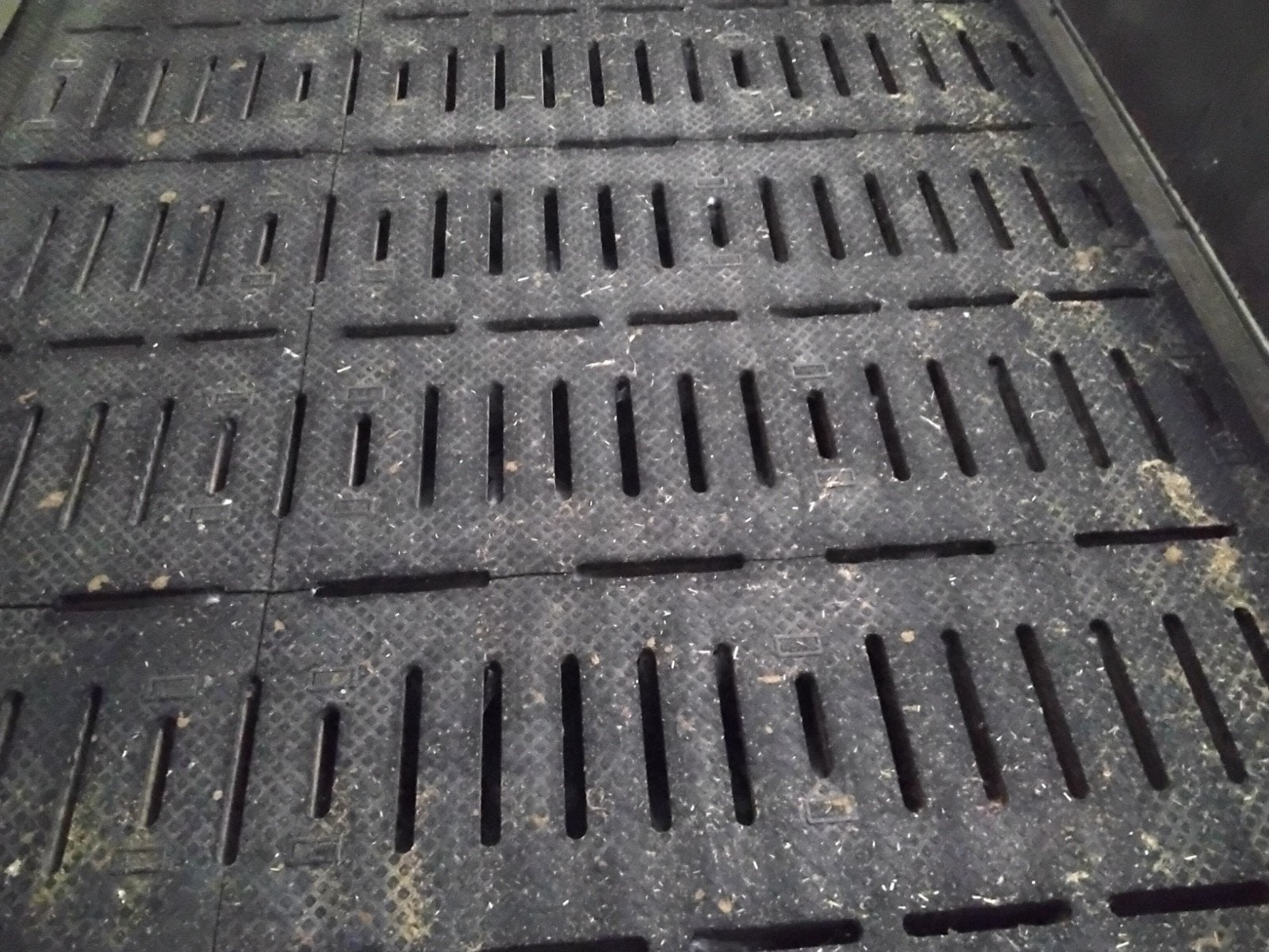 tekoop: rubber roosters met beton, Ophalen