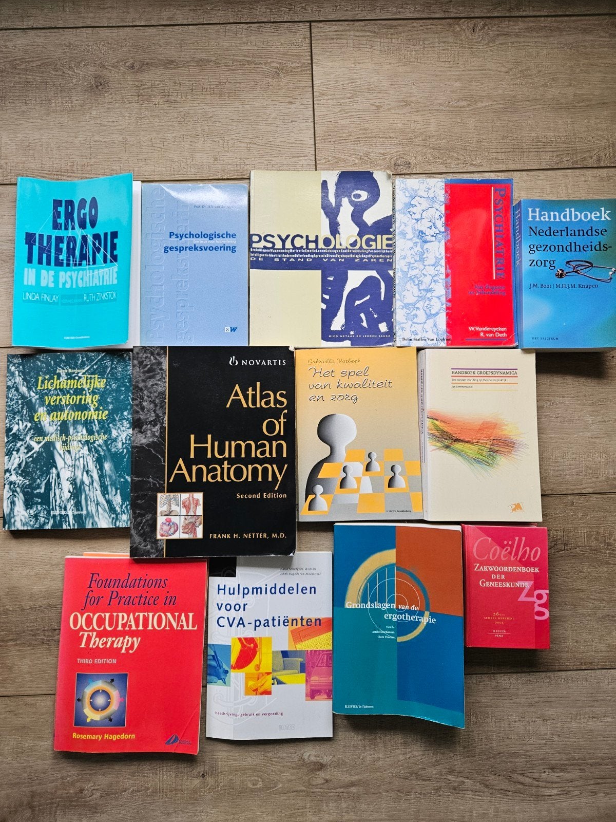 Diverse studieboeken ergotherapie, psychologie, anatomie, Boeken, Ophalen of Verzenden, Beta, Gelezen, HBO