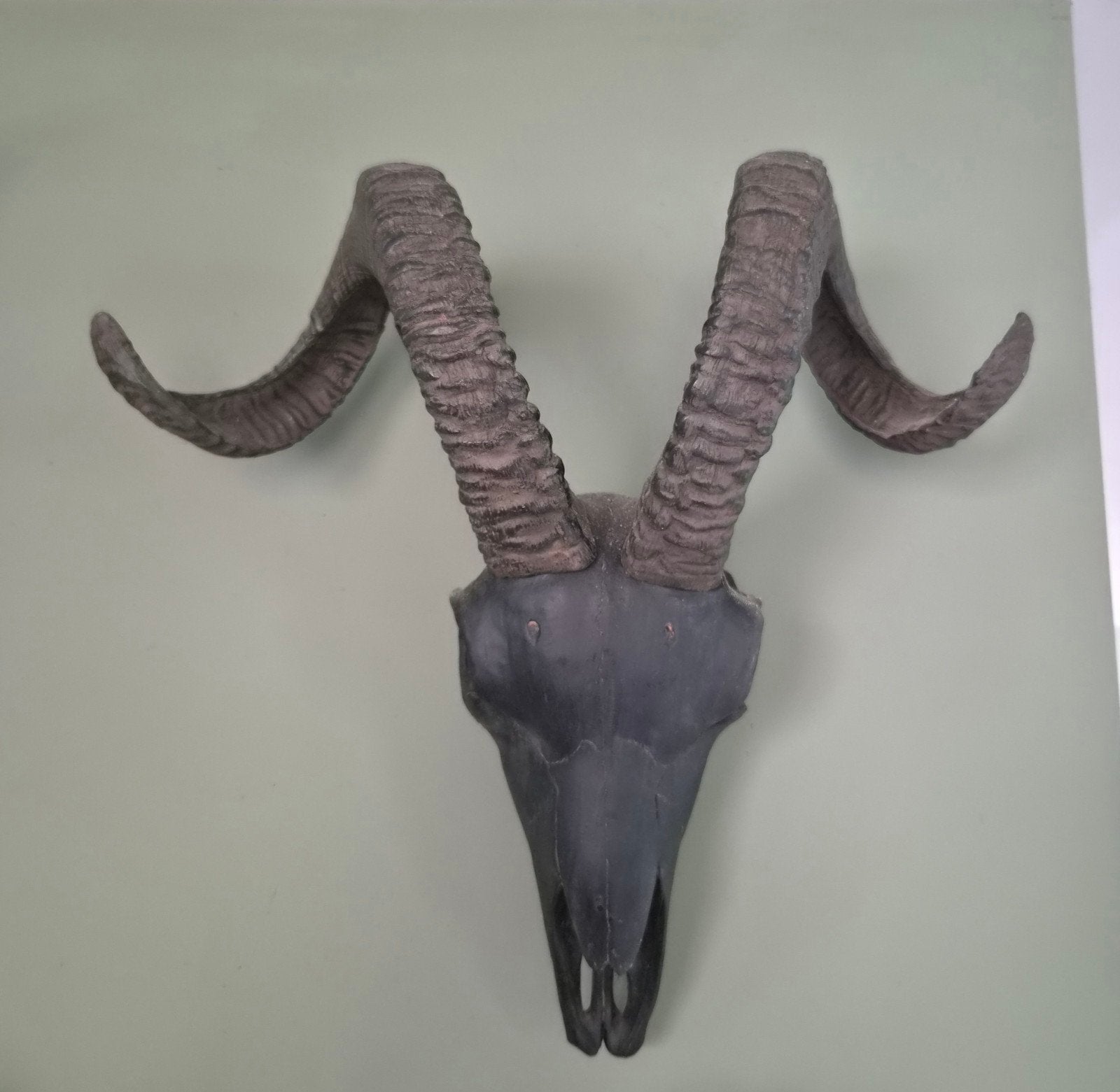 Decoratieve Houten Schedel met Hoorns (Niet Echt), Ophalen