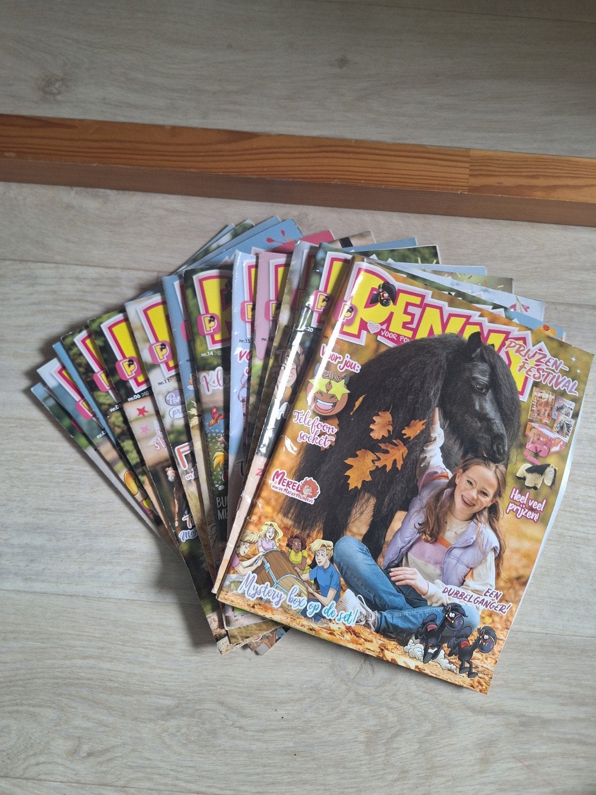 Collectie penny's uit 2023 + winterboek, Ophalen of Verzenden, Zo goed als nieuw, Overige typen