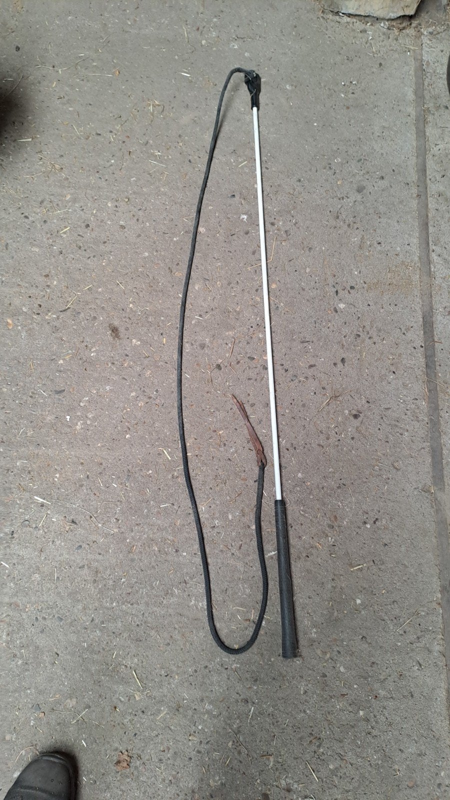 grondwerk stick/horseman stick, Dieren en Toebehoren, Ophalen, Zo goed als nieuw, Overige disciplines