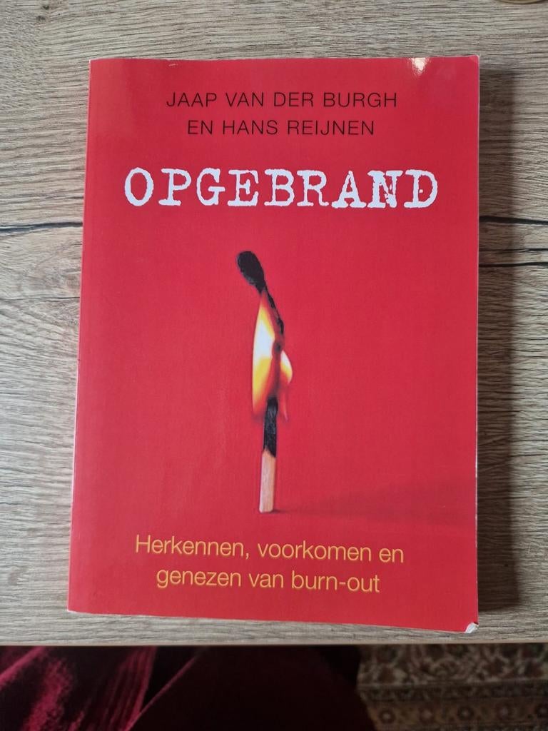 Hans Reijnen - Opgebrand, Boeken, Psychologie, Zo goed als nieuw, Ophalen of Verzenden