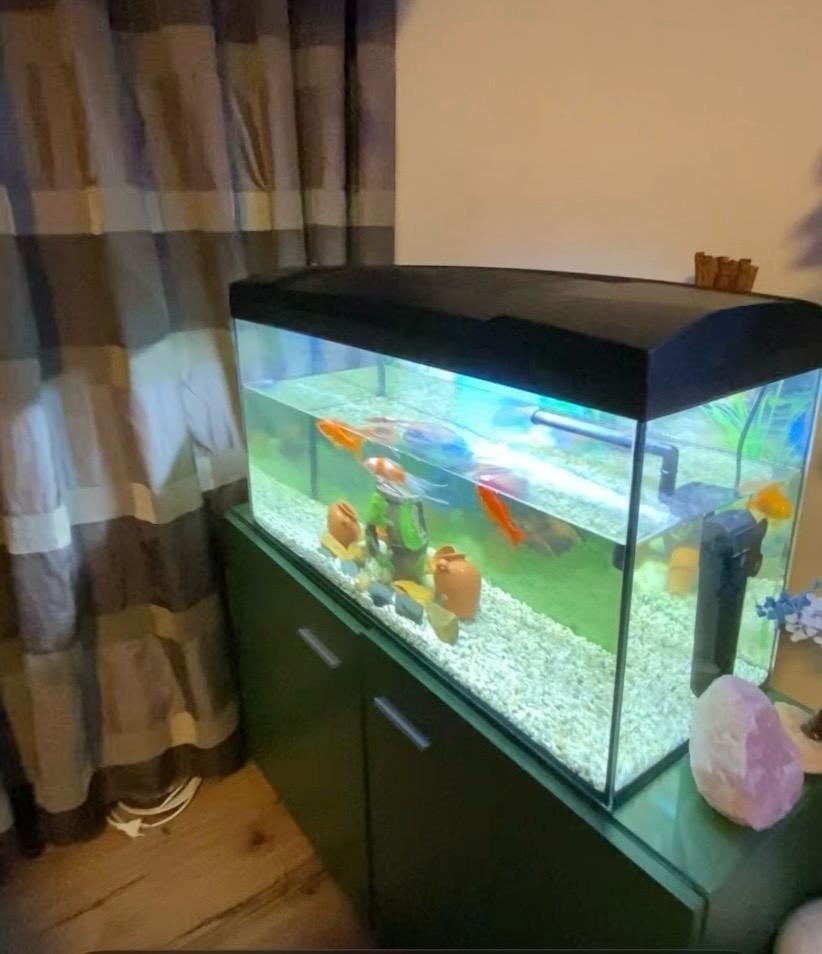 Aquarium en kast - inclusief accesoireces, Ophalen, Leeg aquarium