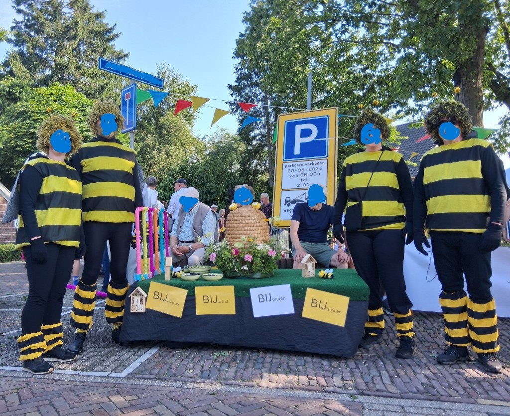 4 bijenpakken, Carnaval, Maat 42/44 (L), Ophalen of Verzenden, Zo goed als nieuw