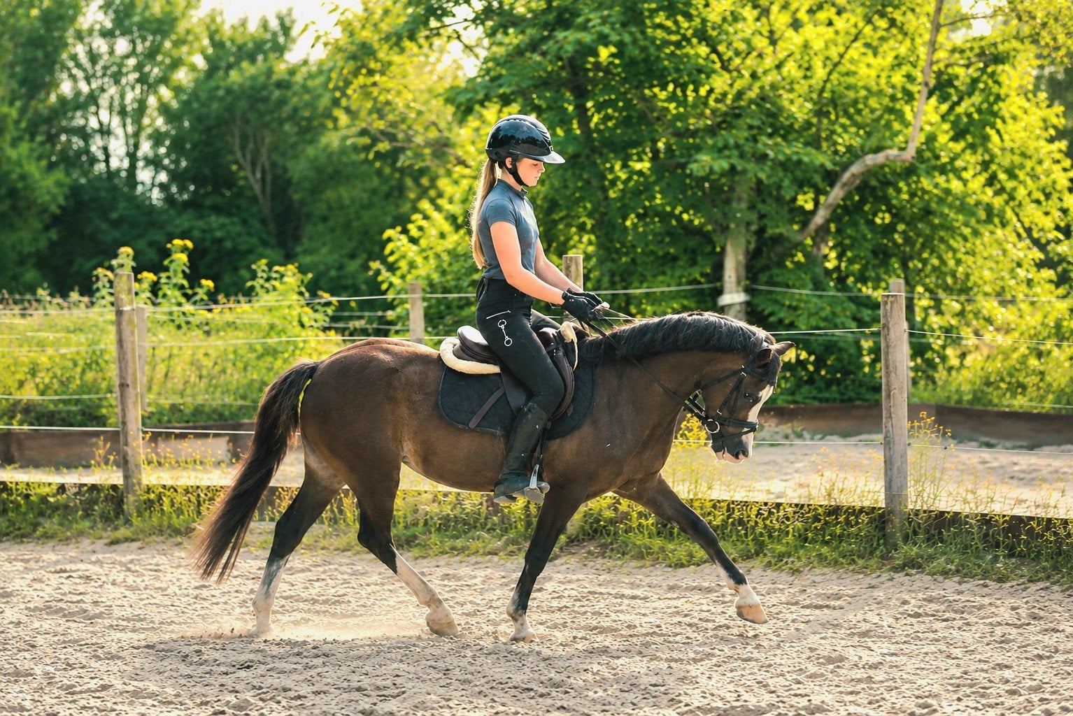 Bixie kinderpony️, Dieren en Toebehoren, Pony's, Merrie, B, B pony (1.17m tot 1.27m), Recreatiepony, 11 jaar of ouder, Met stamboom