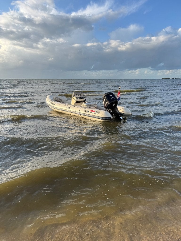 Rib boot, Watersport en Boten, Ophalen, Aluminium, Zonnedek, 1 cm