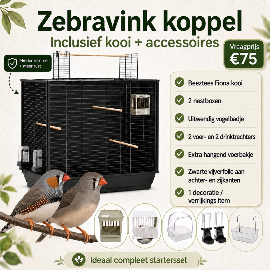 Zebravink koppel incl. grote kooi + accessoires, Dieren en Toebehoren, Meerdere dieren, Tropenvogel