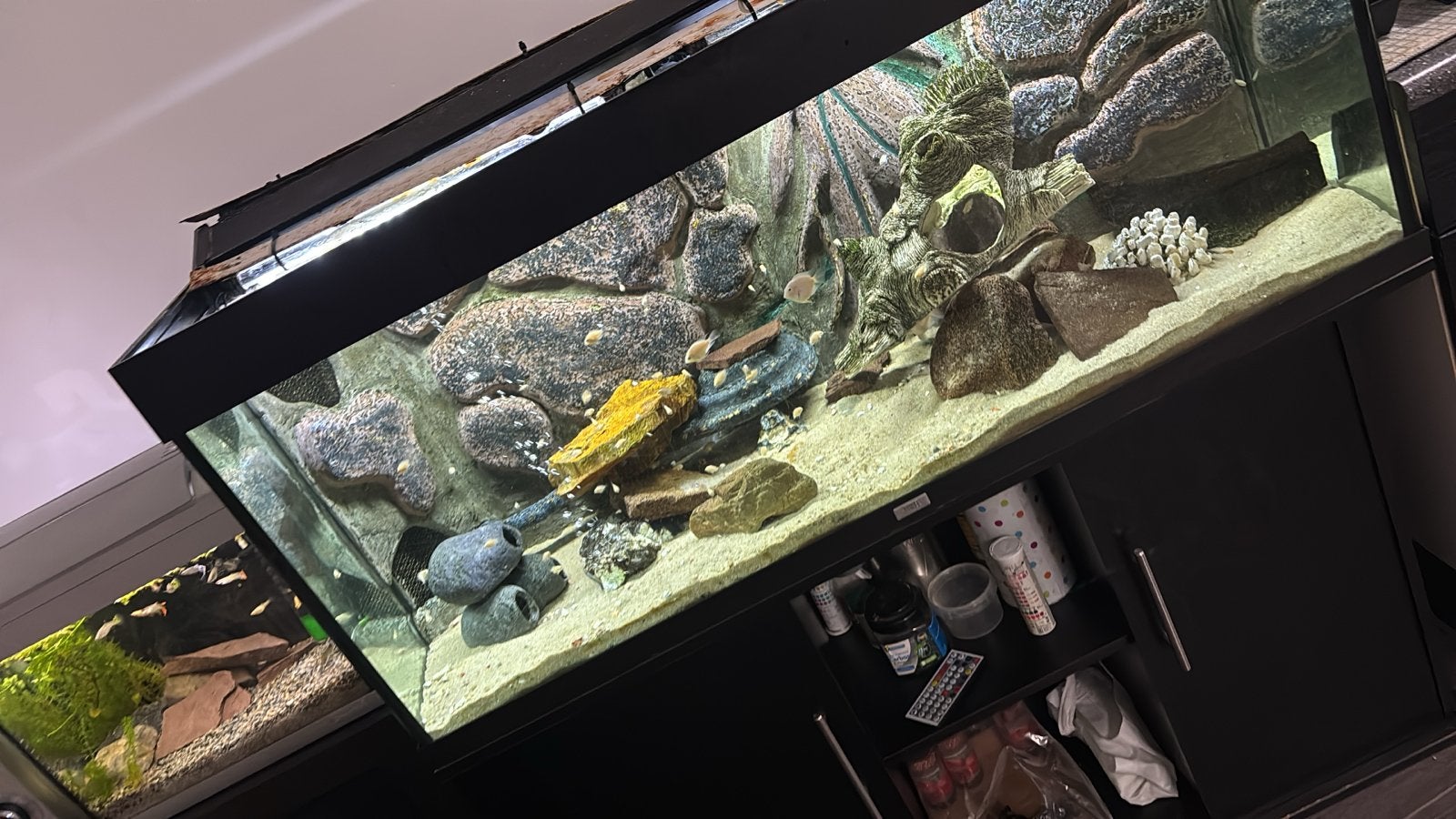 Aquarium met meubel compleet zonder vissen, Dieren en Toebehoren, Vissen | Aquaria en Toebehoren, Ophalen of Verzenden, Gevuld zoetwateraquarium
