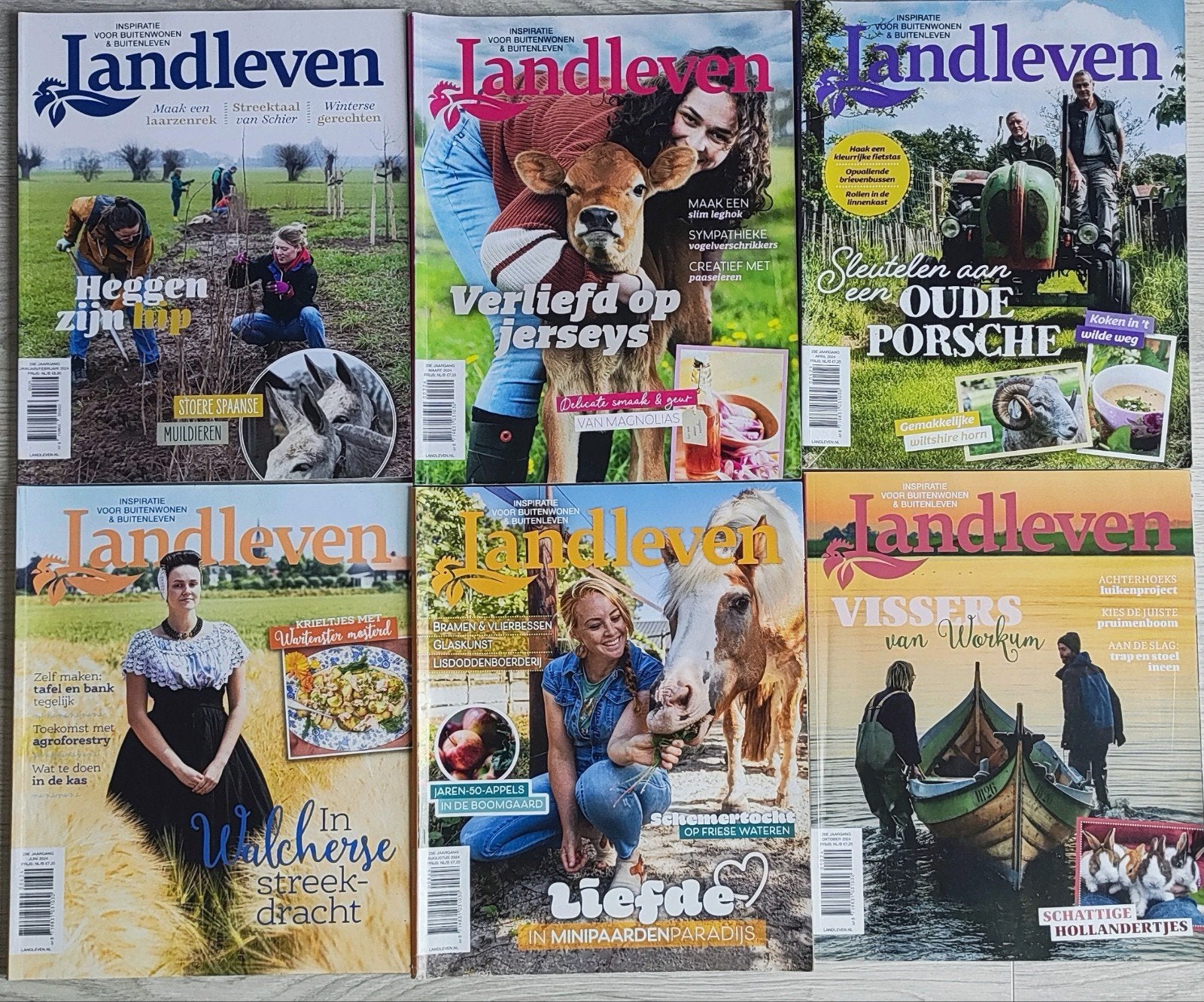 Landleven tijdschriften - 6st. 2024, Ophalen of Verzenden, Gelezen, Overige typen