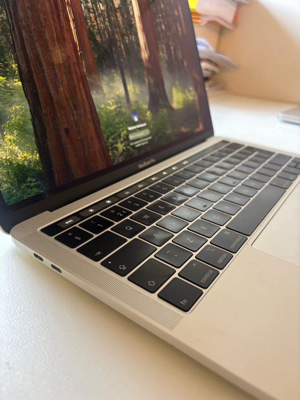 Foto 3 van MacBook Pro 13 inch - i5, 8GB RAM, 500GB opslag