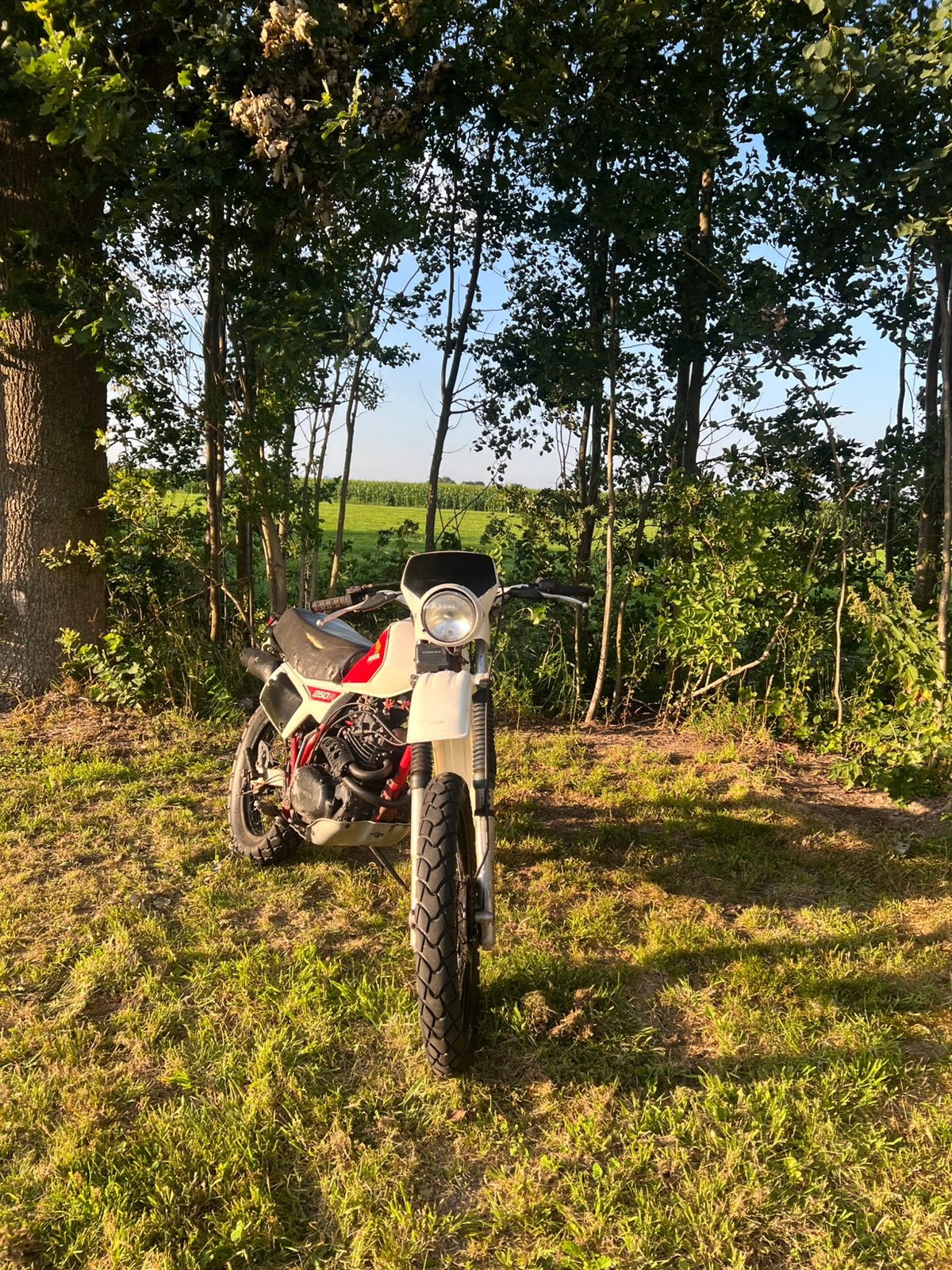 Honda xl250r, Motoren, Motoren | Honda, 250 cc, Gebruikt, Particulier, Enduro