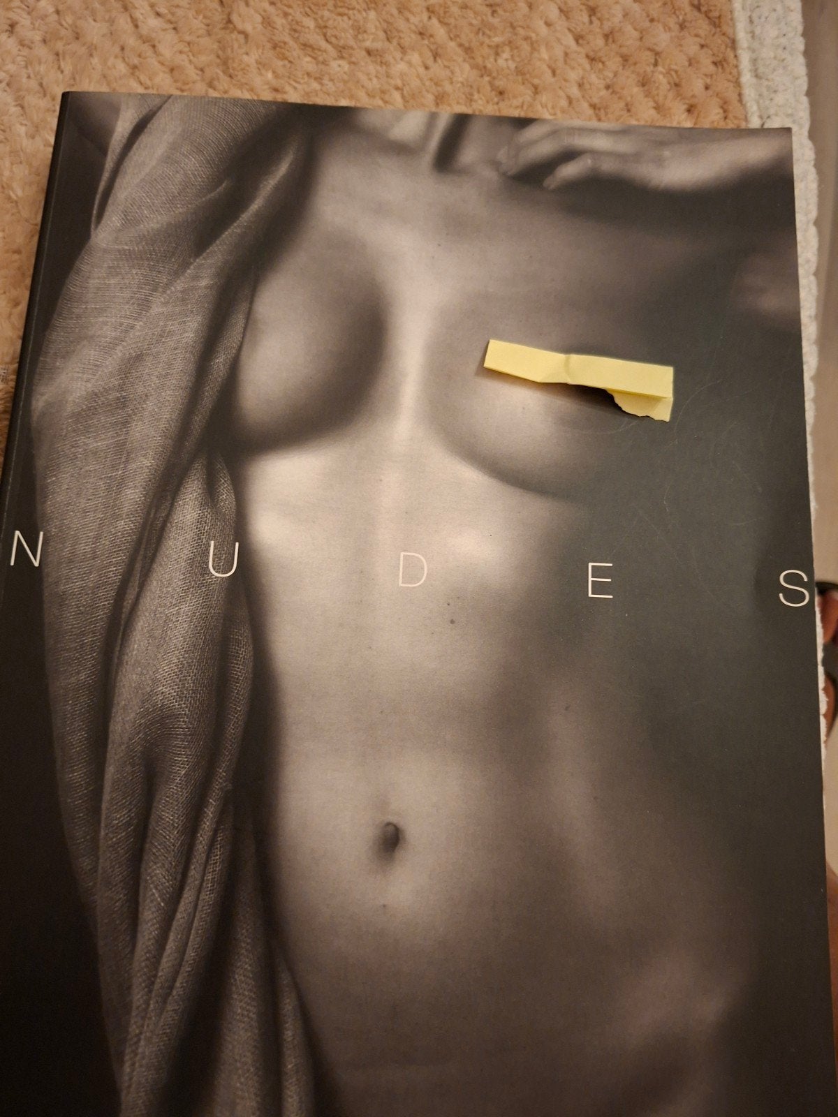 Nudes - Fotoboek van Sean Callahan en Peyman, Ophalen of Verzenden, Zo goed als nieuw, Sean Callahan en Peyman, Wereld overig