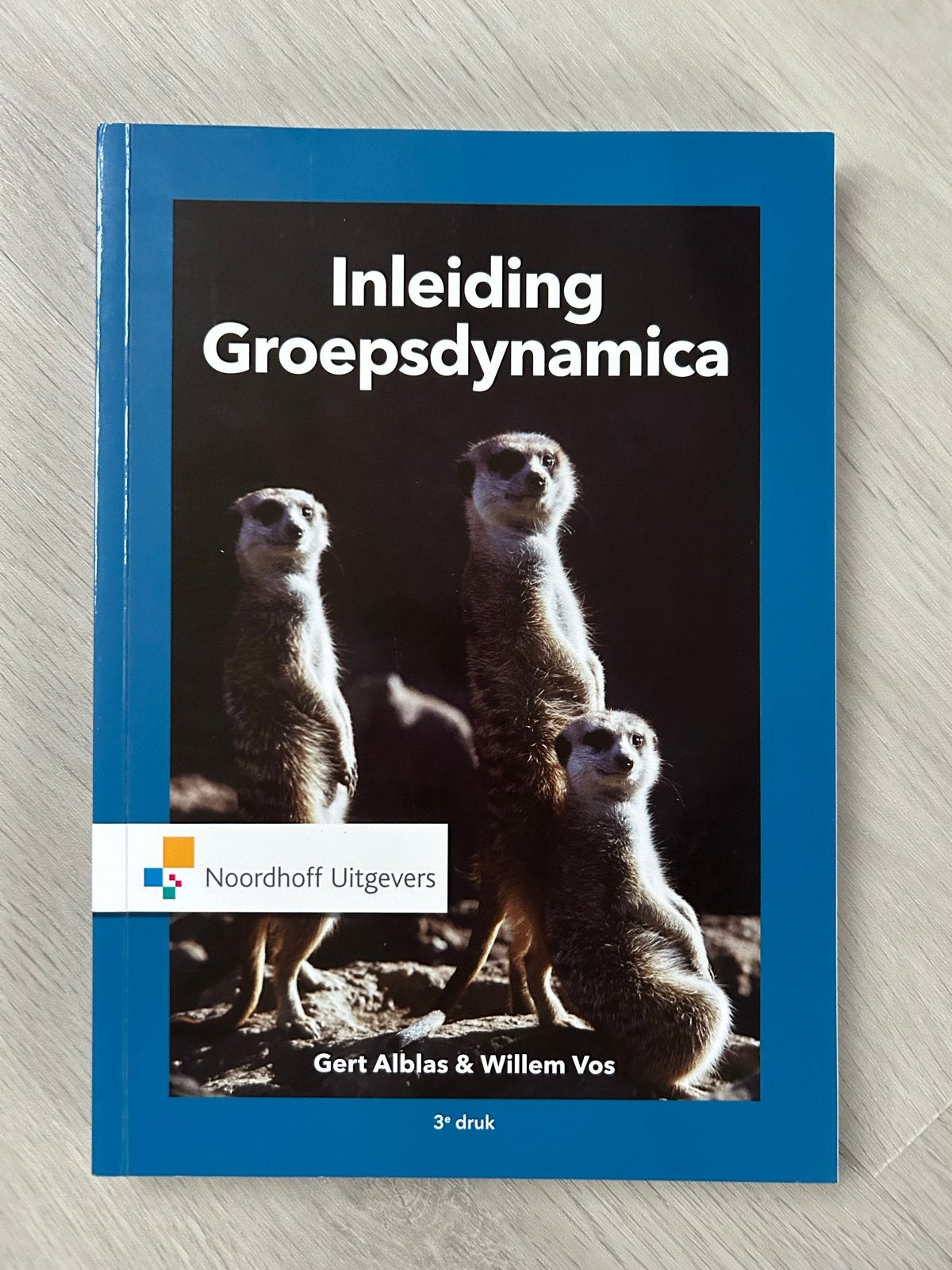 Inleiding Groepsdynamica, Boeken, Ophalen of Verzenden, Gamma, Zo goed als nieuw, HBO