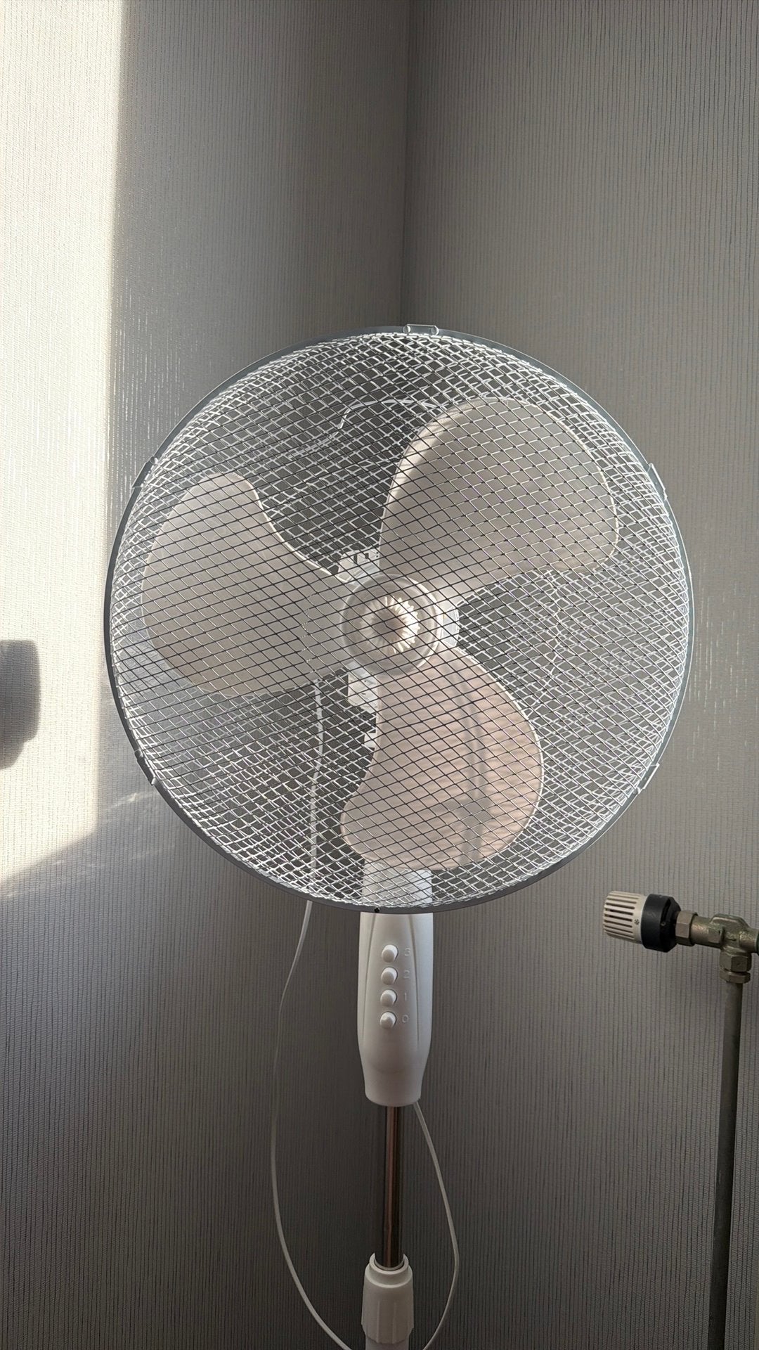 Tristar staventilator, Ophalen, Zo goed als nieuw, Statiefventilator