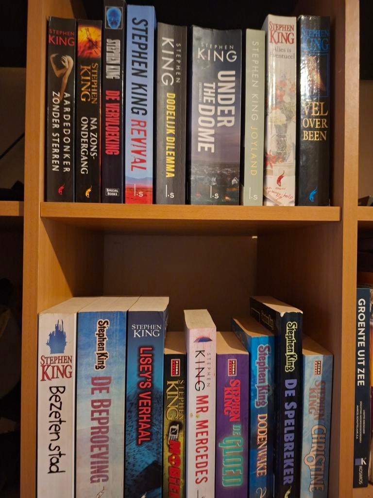 Grote collectie Stephen King boeken, Boeken, Ophalen of Verzenden, Gelezen, Stephen King
