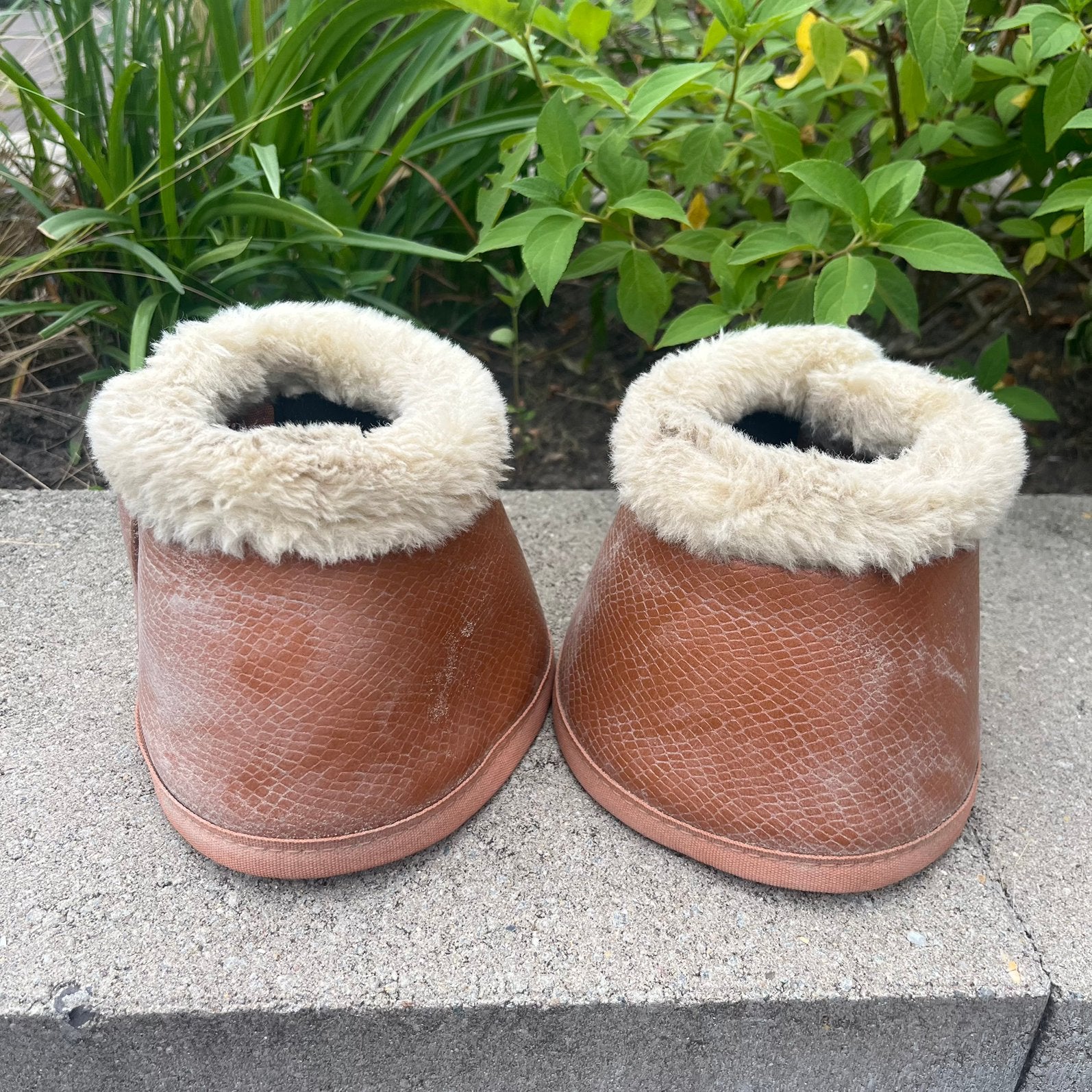 Equestrian Stockholm Springschoenen maat L (full), Springschoenen, Inclusief hoes, Cross-country, Ophalen of Verzenden