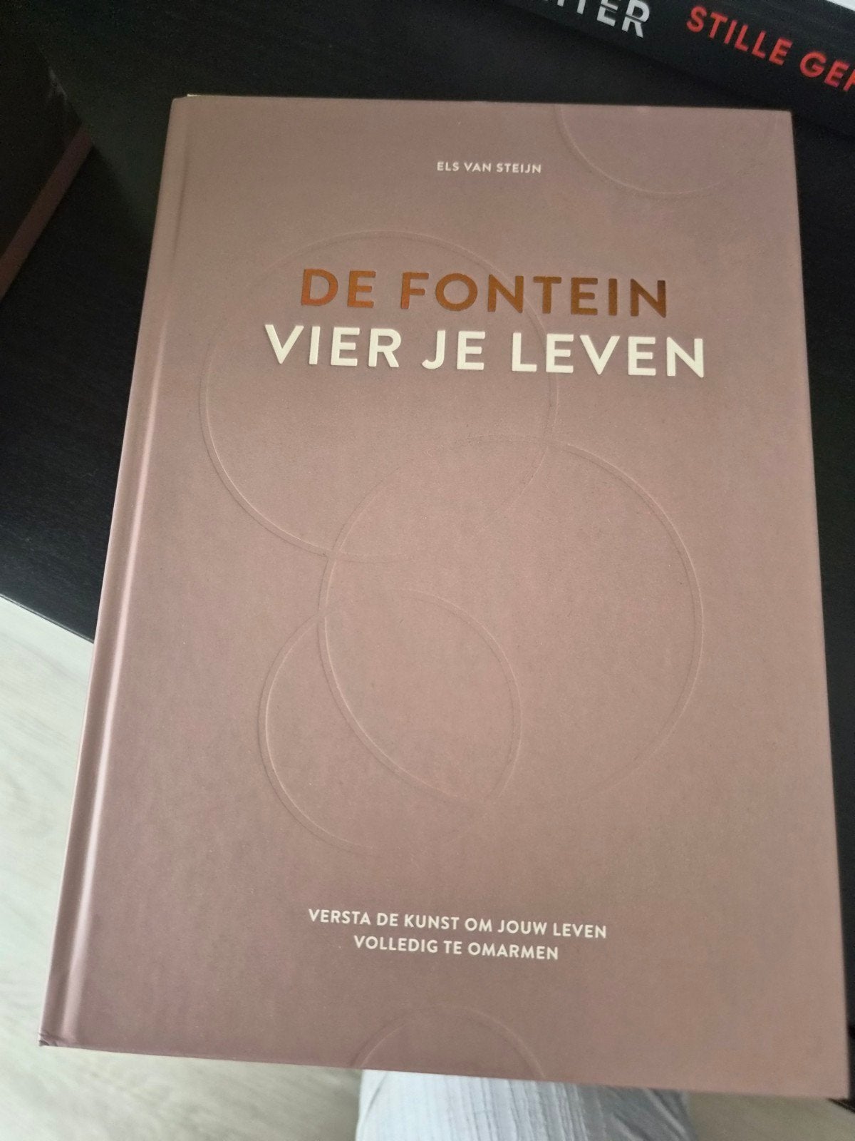 De Fontein: Vier je leven - Els van Steijn, Boeken, Ophalen of Verzenden, Zo goed als nieuw, Els van Steijn, Nederland