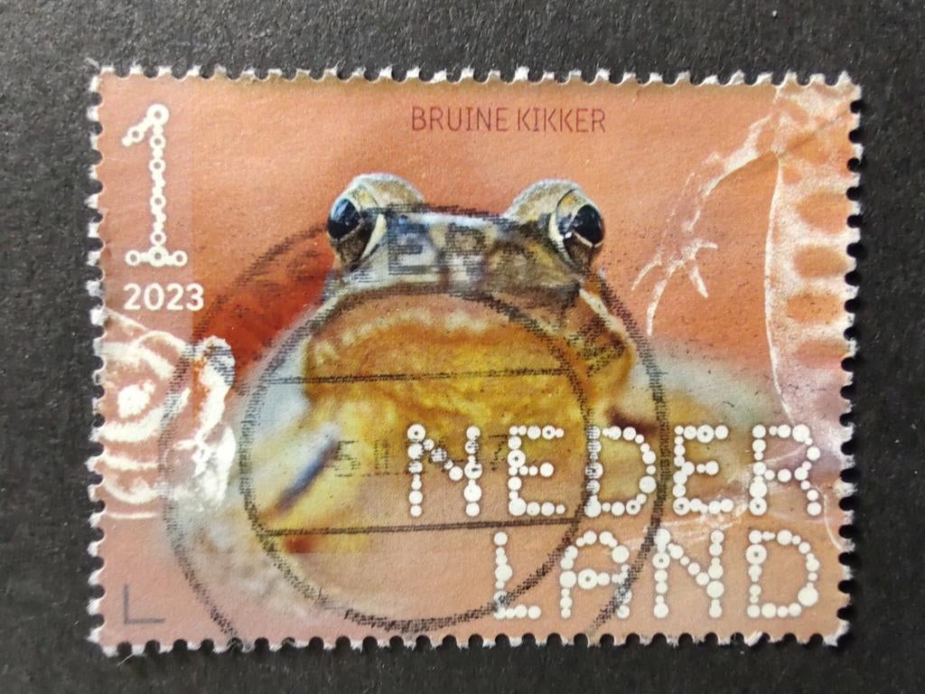 4143 bruine kikker 2023 Beleef de natuur, Postzegels en Munten, Postzegels | Nederland, Ophalen of Verzenden