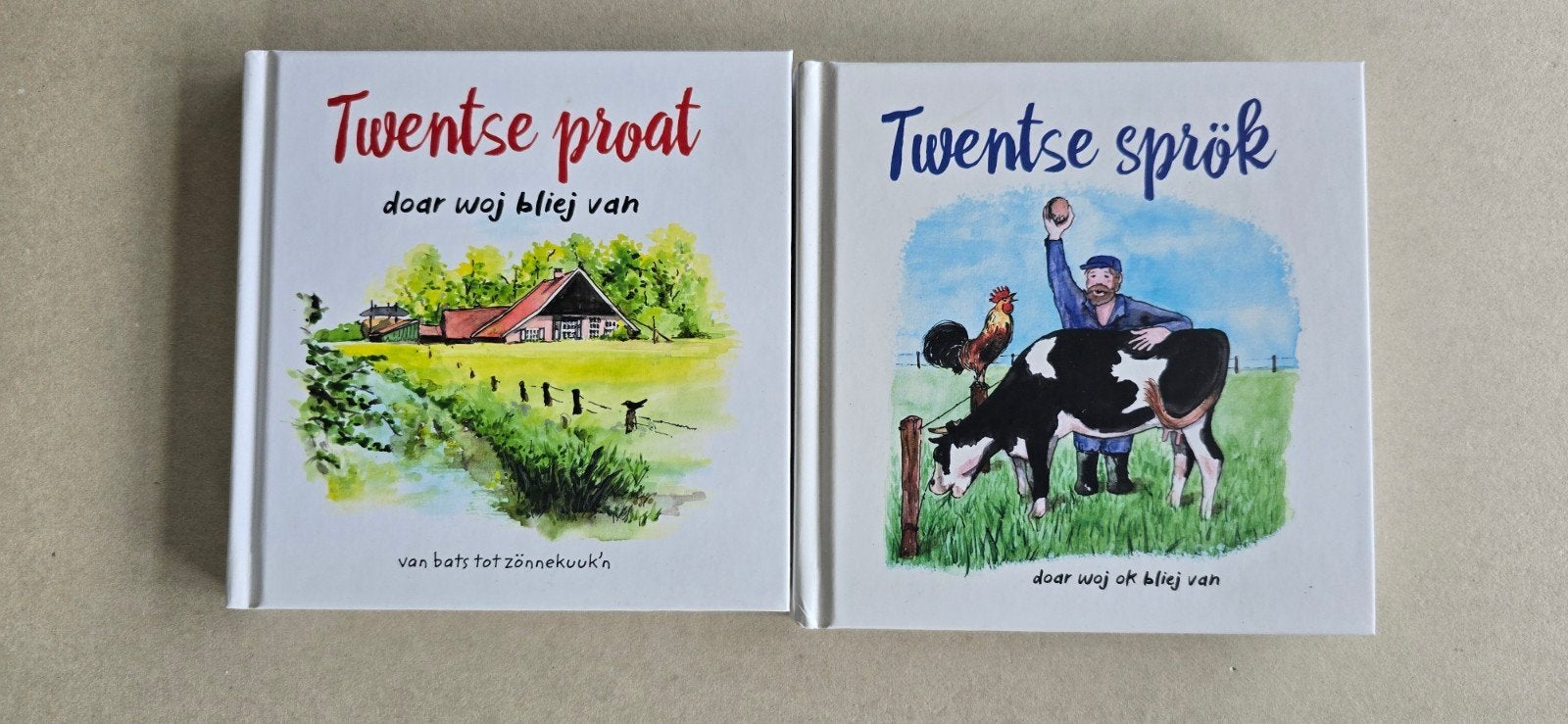 Twentse proat & Twentse sprök - Boekjes in dialect, Ophalen of Verzenden, Zo goed als nieuw, Onbekend, Nederland